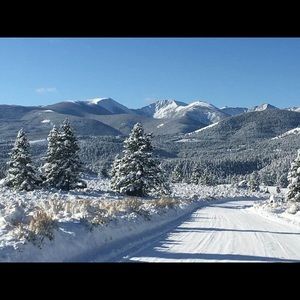 Meet your Posher, Julianne